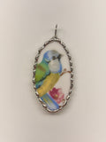 Sweet little bird