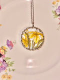 Daffodil Floral